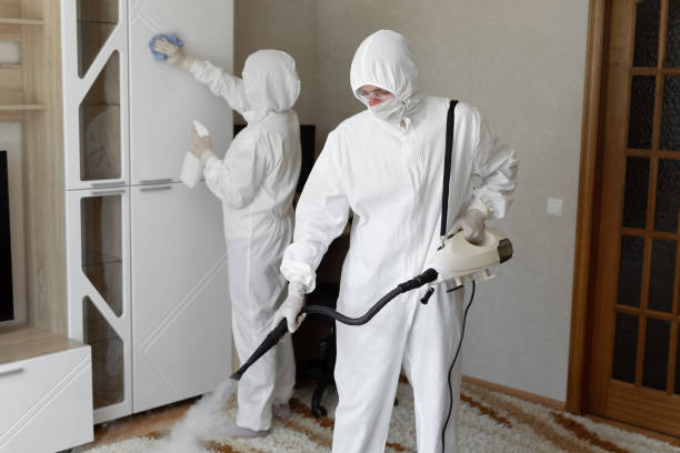 24/7 Emergency Odor Removal experts in Chandler, AZ