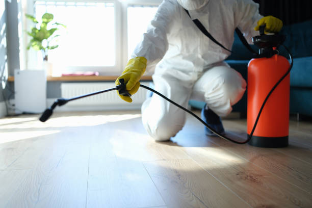 Reliable Odor Removal contractor in Chandler, AZ by Trauma Clean Pros